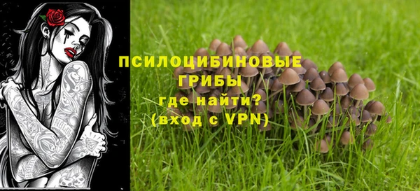 кокс Богородицк