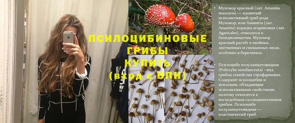 герыч Богородск