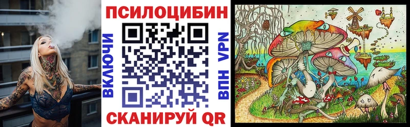 Псилоцибиновые грибы прущие грибы  купить  цена  MEGA зеркало  Корсаков 